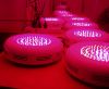 Led Grow Lights